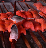 Enews_salmonphoto 3 Enews_salmonphoto 3